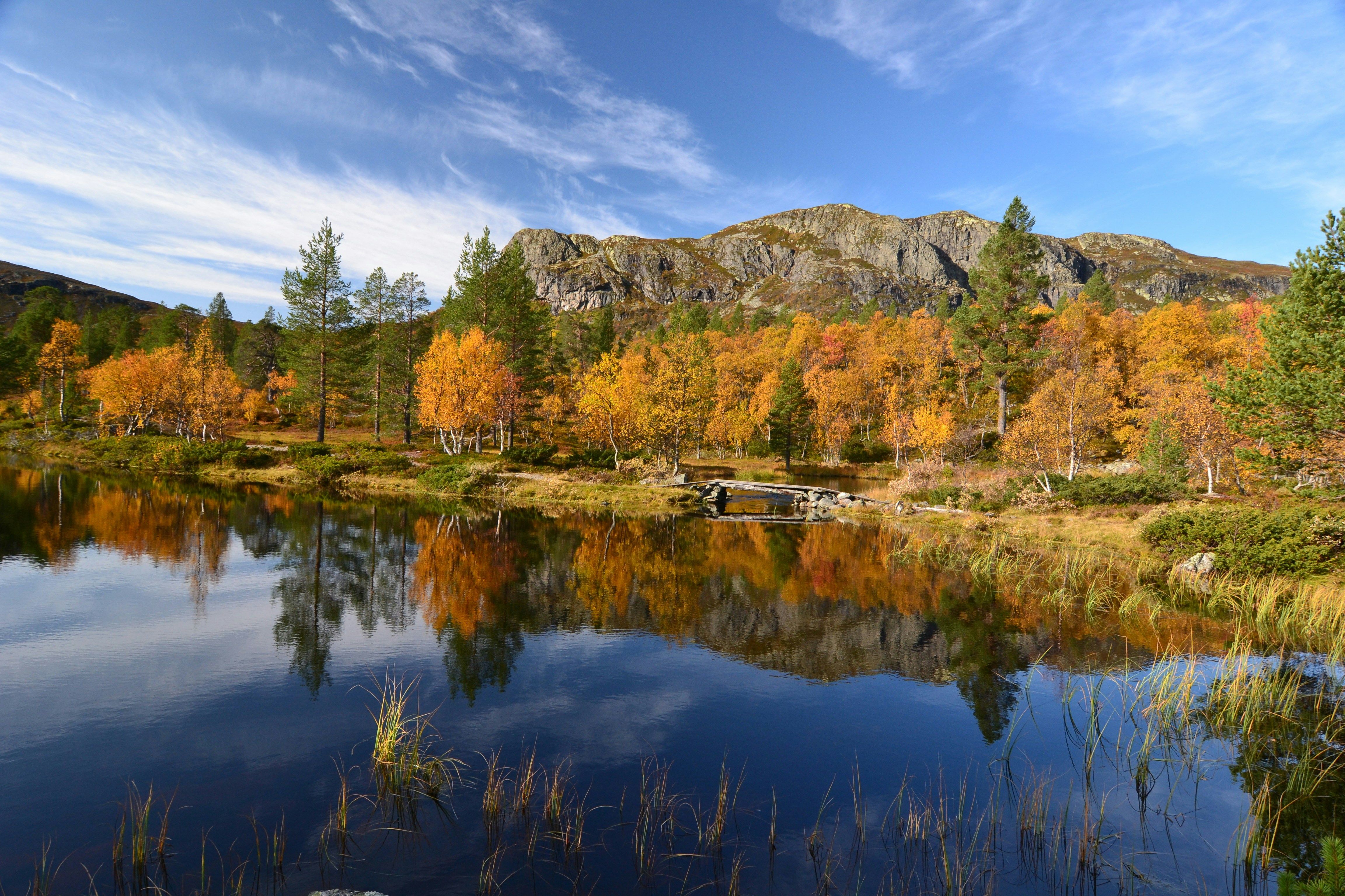 Giorno 5: Esplorando la Tranquillità di Femundsmarka